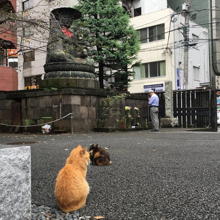 E14c5ce3 ced8 4b8e 8617 bfb176f62194