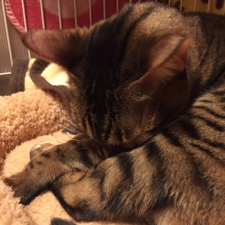 E14ccd57 c7cc 4668 b4cc 643fbfc4d750