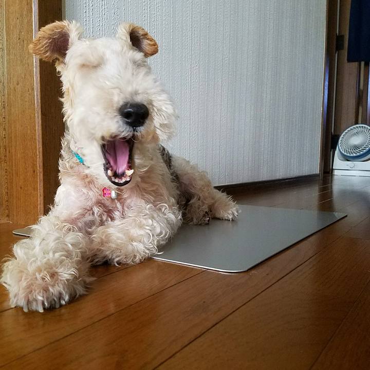 E14db2b7 7e8c 4abf 8125 b3d7a64143af