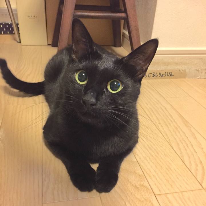 E14dd9bb 2fea 48b6 a239 e39e05edd2bc