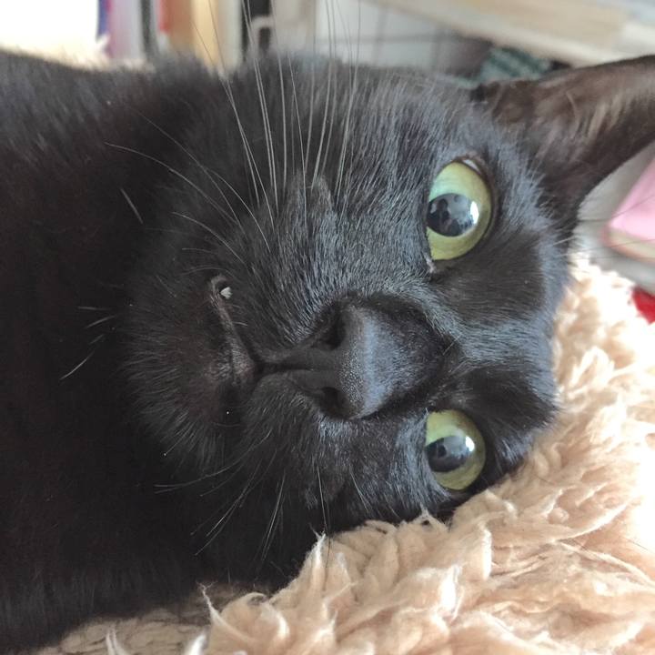 E14e055e 65fe 4e06 a237 61f8d4110165