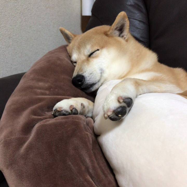 E14e6879 1135 4c81 b58a 29f48691cfaa