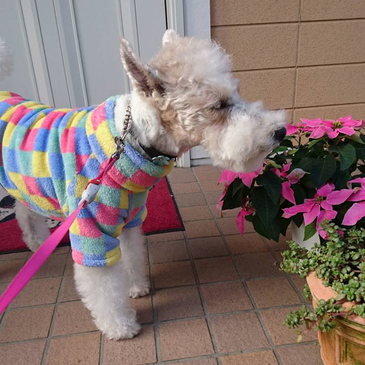 E14e87a8 d83d 4cf0 b871 b96d0ea3aa6d