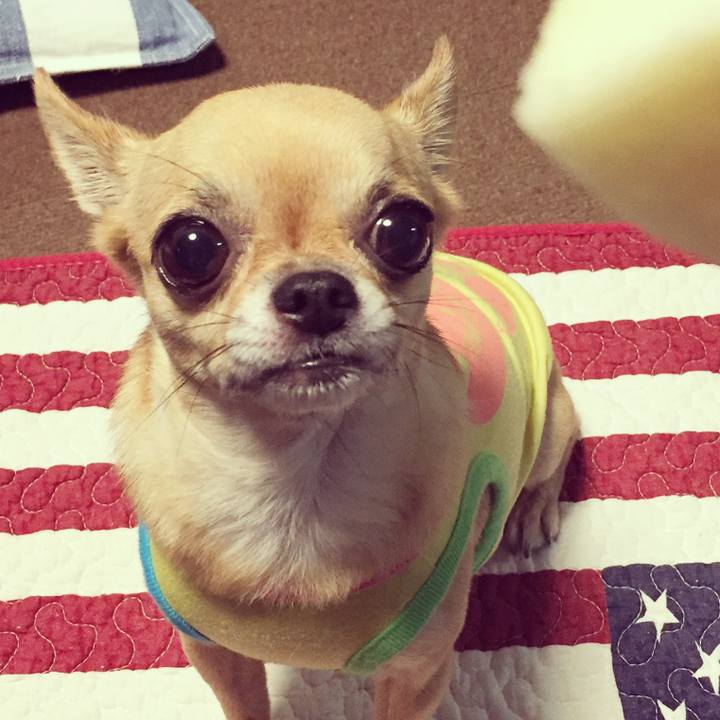 E14ec011 34dd 4048 8b6f 3bbd2c058756