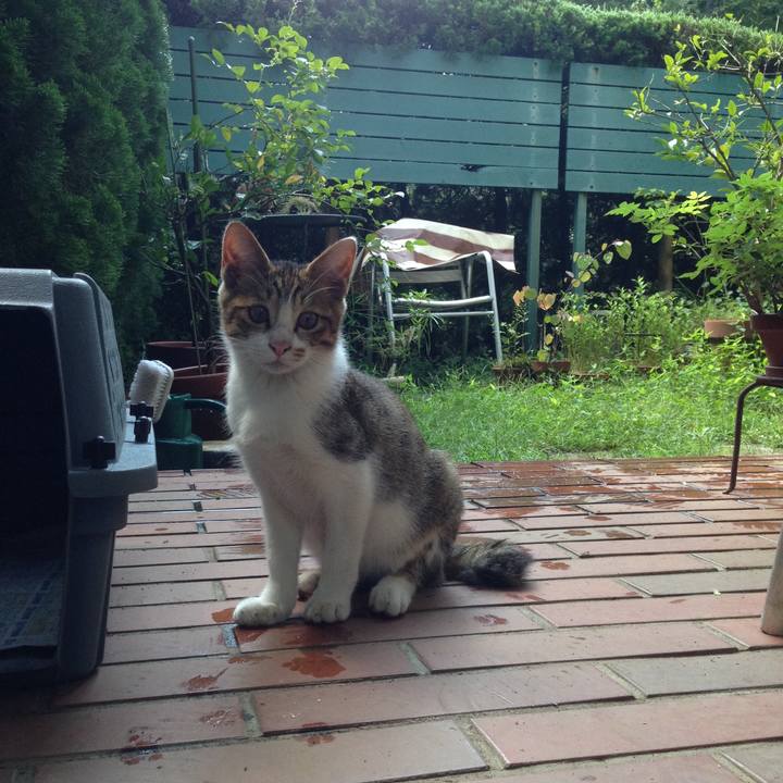 E14eedff 5a1b 4521 9354 5479b7fc5c05