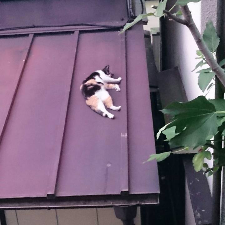 E14f4102 6591 4e62 9269 ecfd8defbc5a