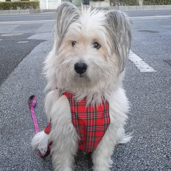 E14f50a8 282d 4a70 9019 7ec11be29660