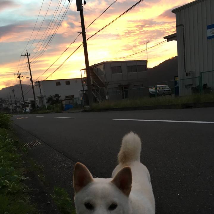 E1500374 2c25 4fca a208 0b34d8241145