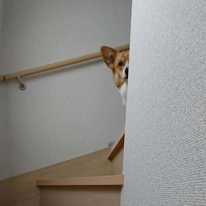 E1501dd4 cfcc 4933 bcef b9698aaef5e0