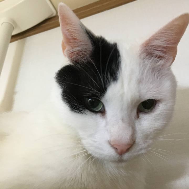 E1507acb 7b65 4788 9292 35494a61855e