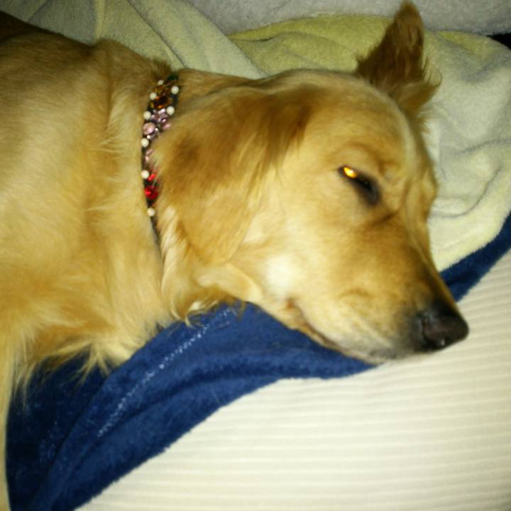 E150b2ff ebce 4067 bfdf ef83d641e8f4