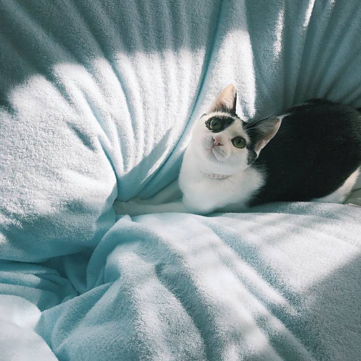 E150c4d1 67c1 4279 97c7 00b3fed33466