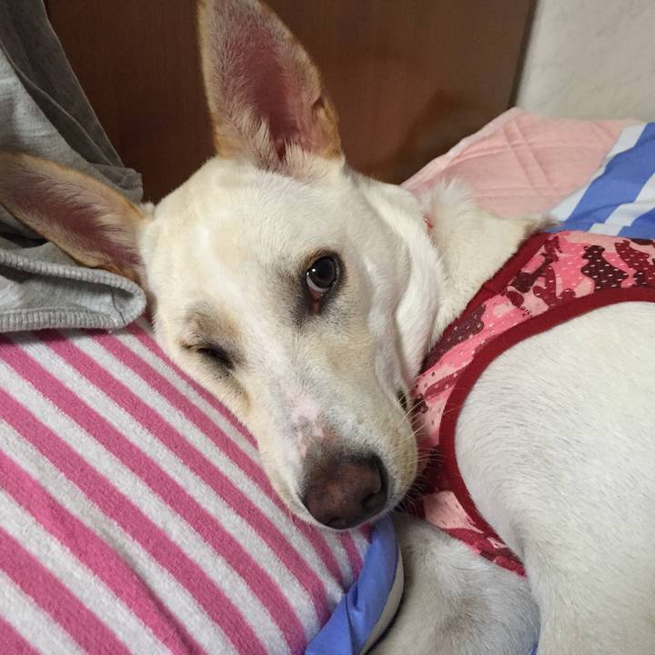 E150c8e8 af8e 4e56 a285 556b8d2af033