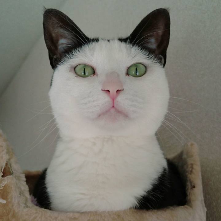 E1514b89 fb5d 469c a2dd 36e6f3f56c0b