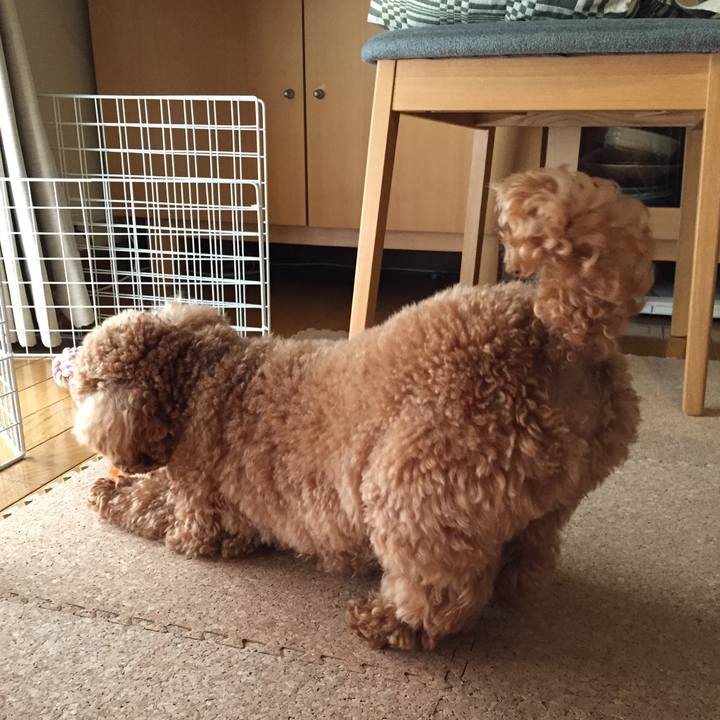 E1516147 2c36 4dc1 a199 49b7875688bf