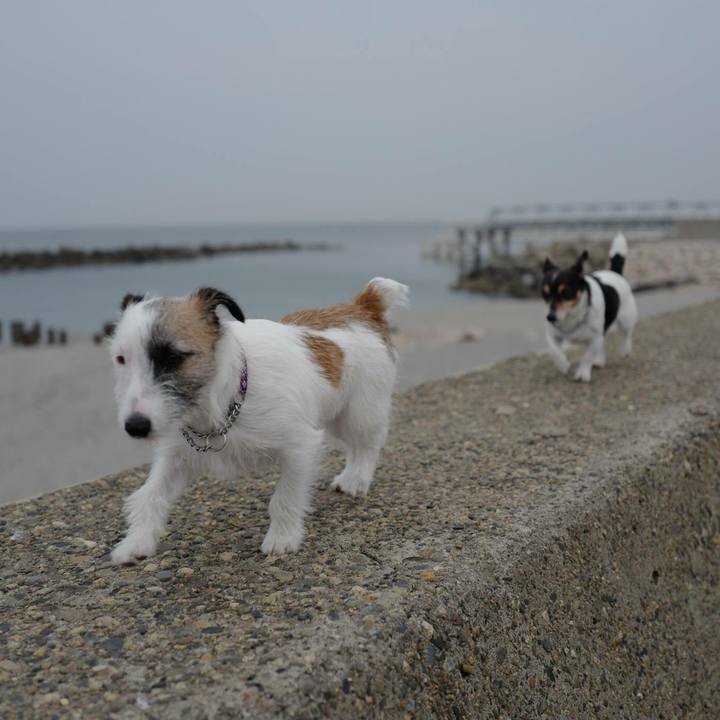 E1516879 90a8 47de a59f 0ed169ab31f5