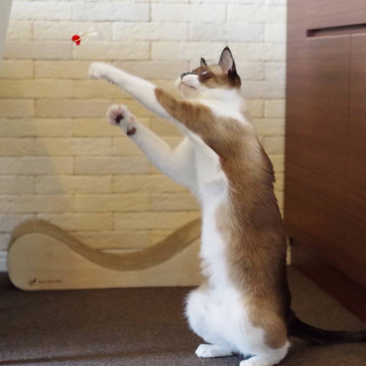 E15243d2 3178 47de ac05 25eb0aceb4ba