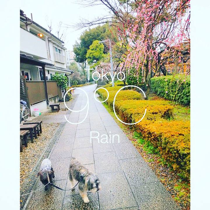 E1527f4a ed3a 45b7 8134 8c0f4bd672e4