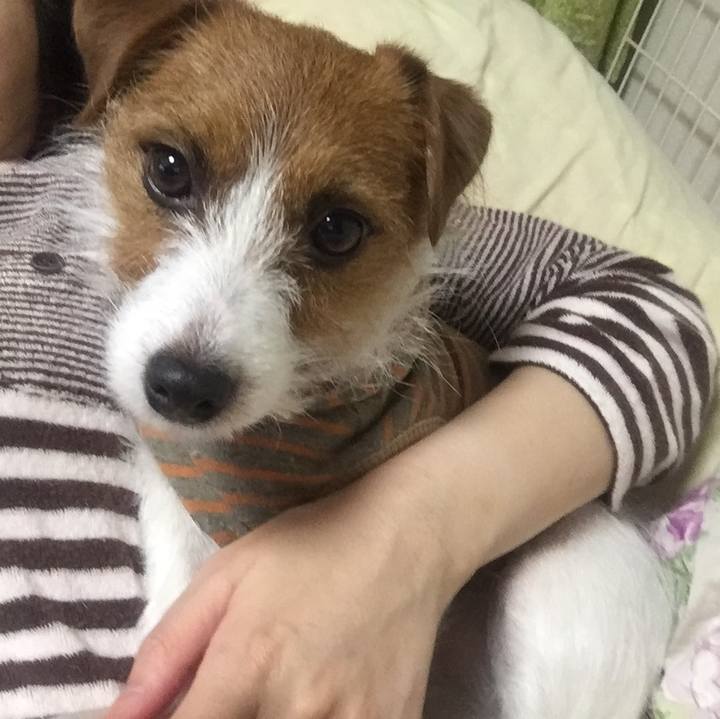 E152af0a 2355 42ac 8239 45c82ec8d80d