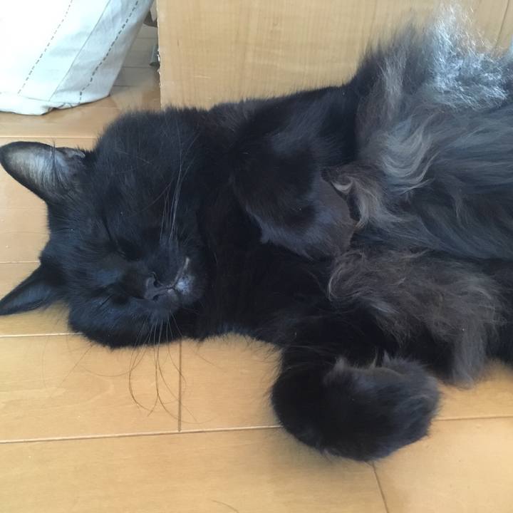 E152dee4 8cb1 4656 81c7 be8b6650764c