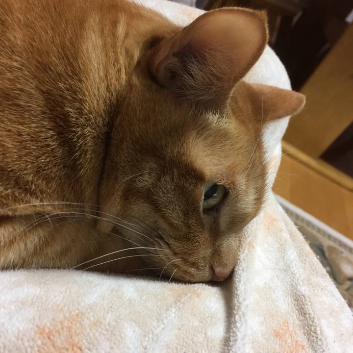 E15423fc b897 4127 9322 ec9657884772