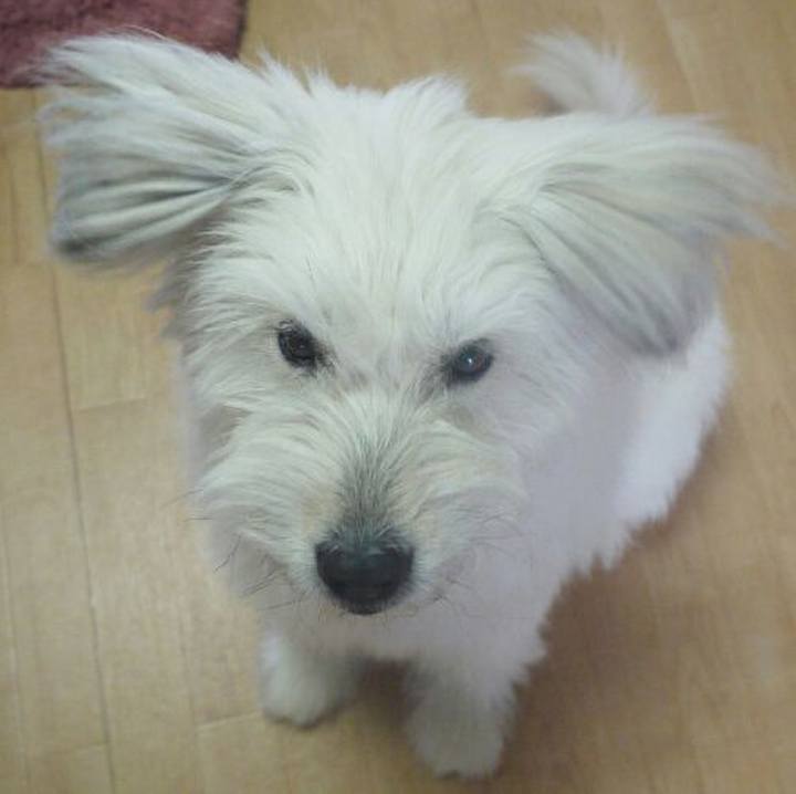 E1543b20 ee8a 4309 aba3 d4b96ba8ce80