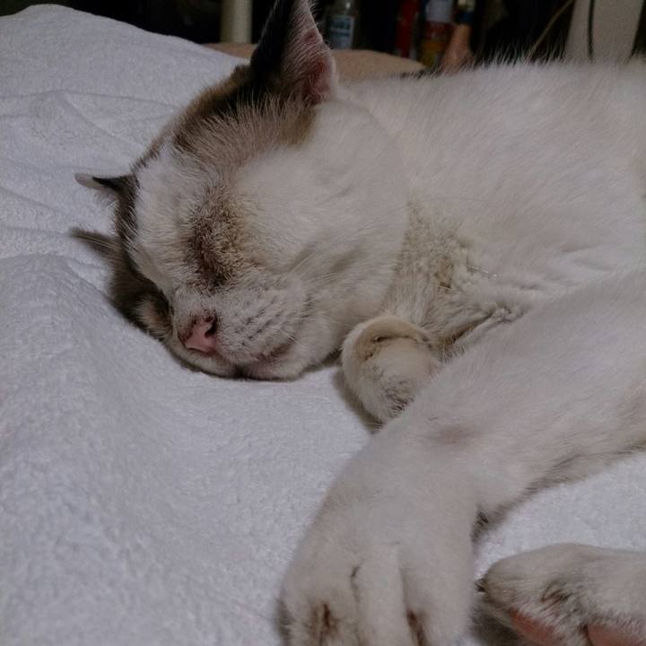 E1544aba 625d 427b be8a 342fd970964b