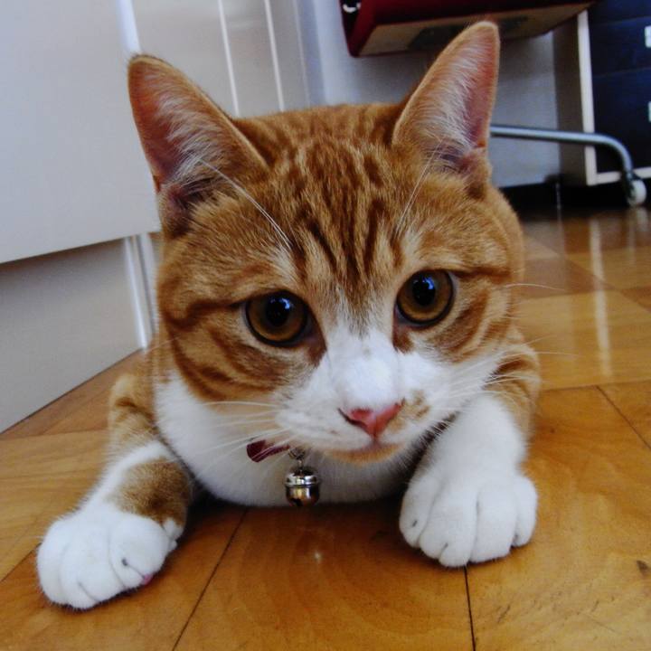 E15468de 1845 4ef2 aca1 c6ded6e755d5