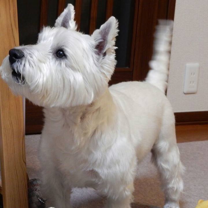 E154a0c7 0cc0 4098 b4c1 b86514f7bd12