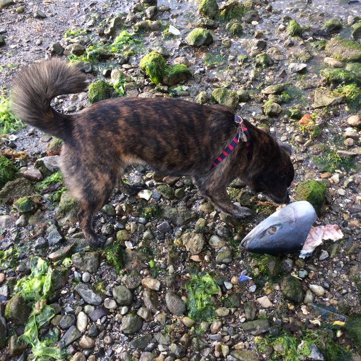 E154fb3a 3b7a 4048 b4d3 581675258207