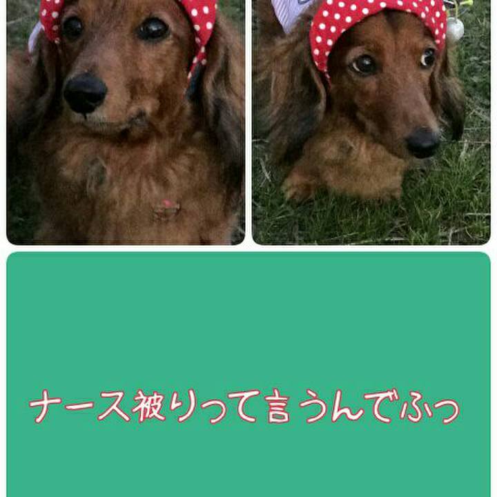 E1554917 1c47 4e0a b702 4ad12d717ff6