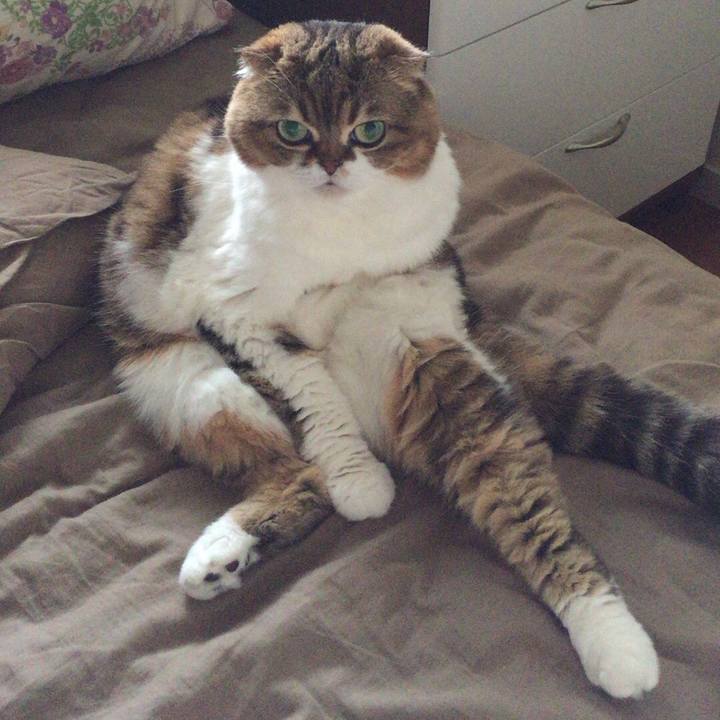 E15592bc d0a1 449e 8428 746ca31ff8ee