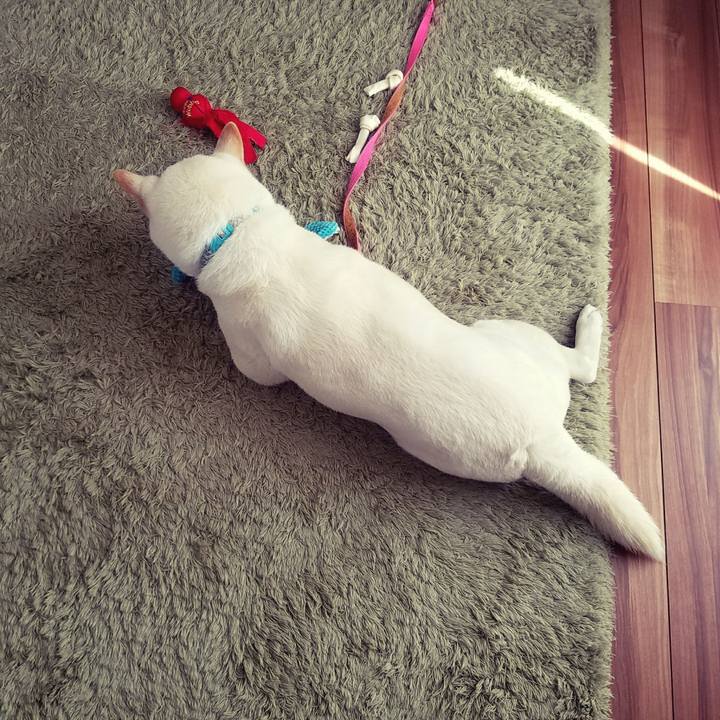 E156014e d76e 417f 859b 584a72c9d49a