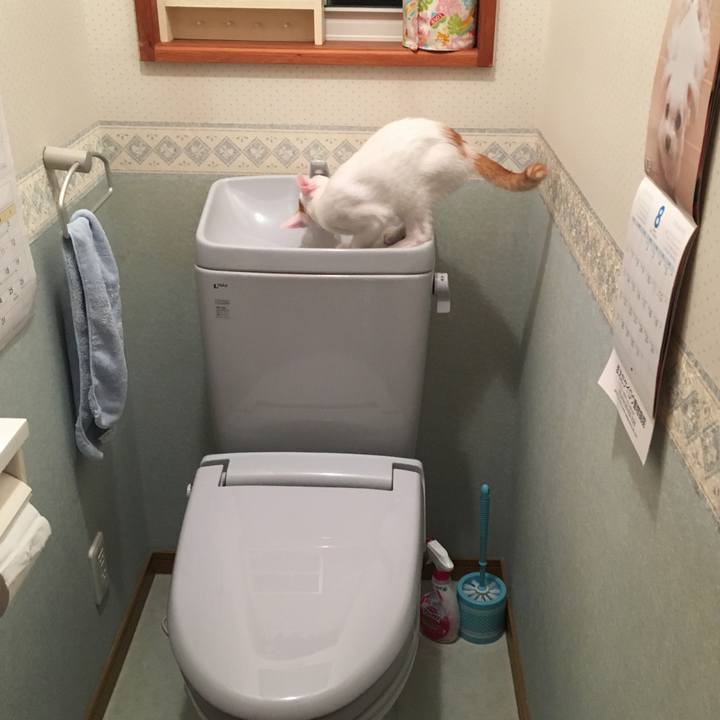 E1569629 6457 4a16 85af a9e7eea176f0