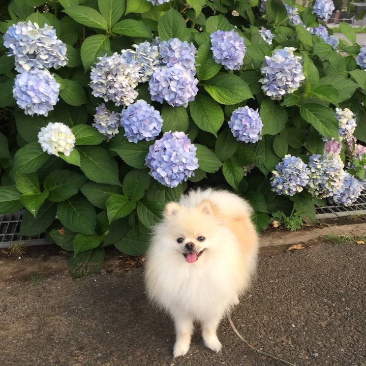 E15697fa 3e7b 40b5 9695 ca73361e591b