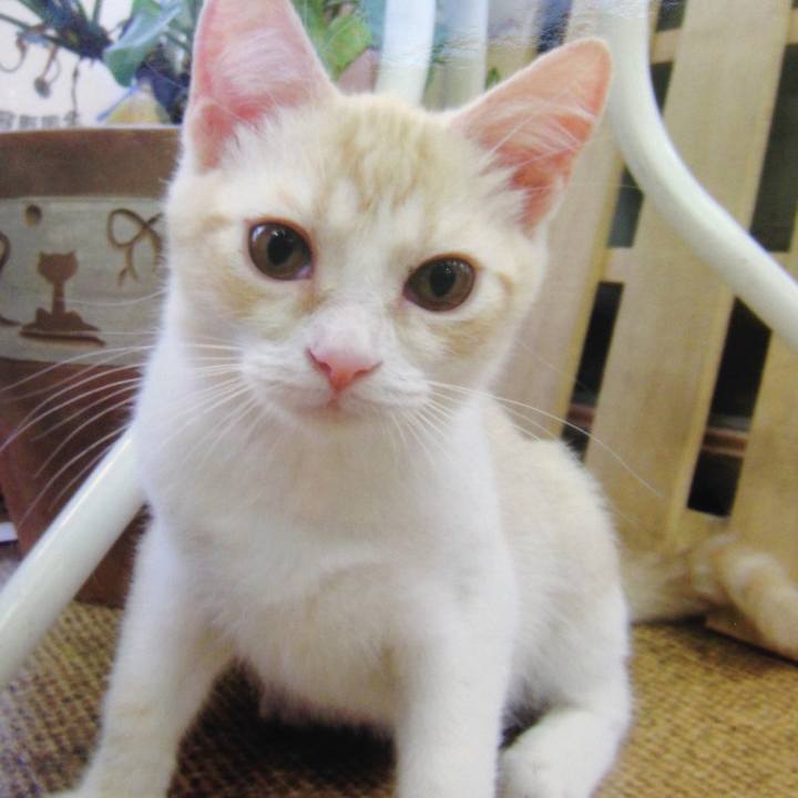 E15716de d8ed 402a a4a7 139413d1cd43