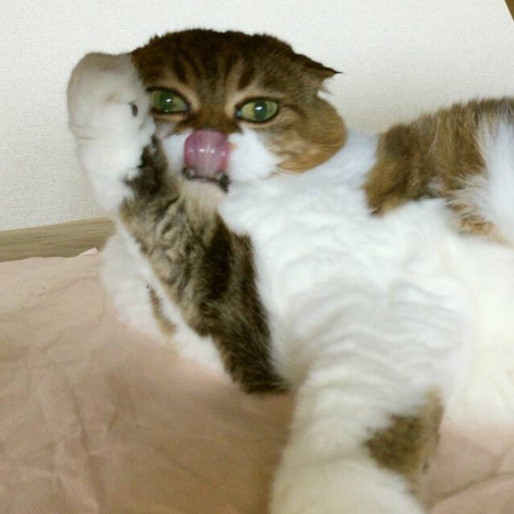 E1578548 efef 4000 8679 db85746443b4