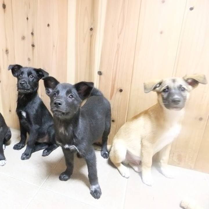 E157c601 22b1 4955 9045 6f60cf969d97