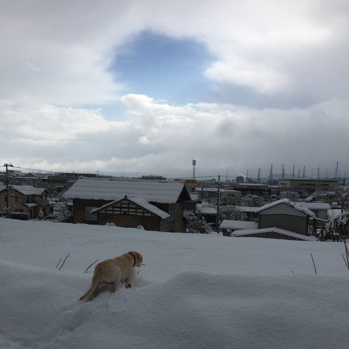 E1582a08 e9a6 41ad b6f7 53ad11ce1f8c