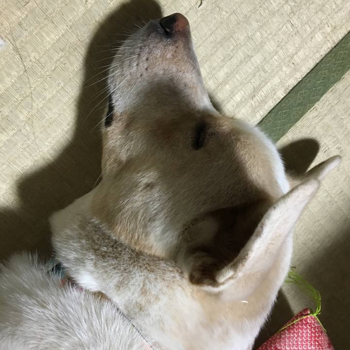 E1586b3c fb18 4974 84fa 9a03b303af74