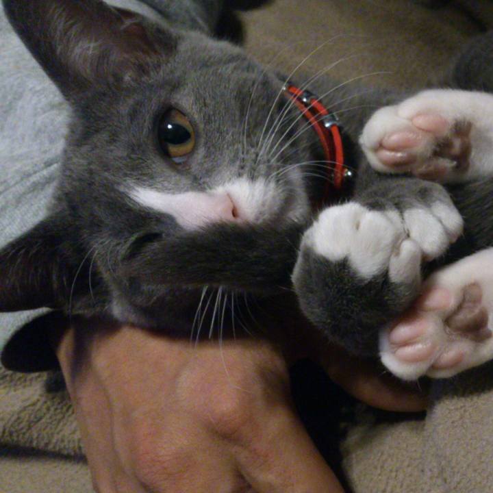 E1588d35 36ec 49fd 921e 9de56f63adcb