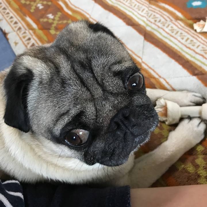 E158e7c5 e44d 4197 b241 fe0eeec6e64b