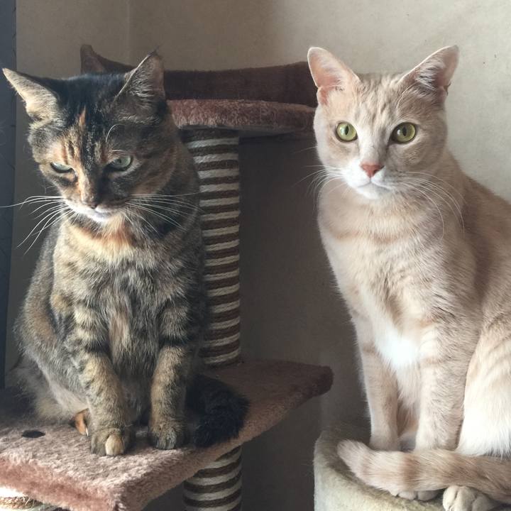 E1591195 d36c 47bd 9005 c0537a14d001