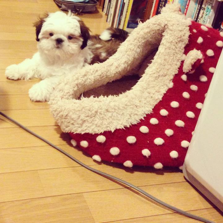 E15a8a26 f73b 470d b979 2bd5a11ffbcc