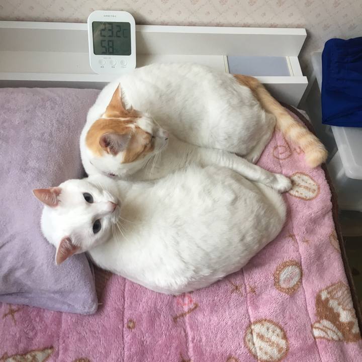 E15a988c 3113 48a2 8c05 83f7c06bf1d8