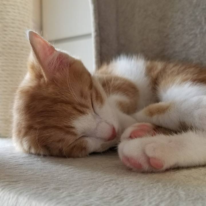 E15ab1de 7985 4fb7 bbfd a35de31ee333