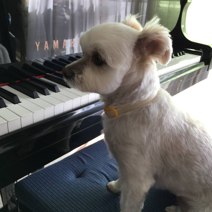 E15b2ede 47c7 4344 a70e 563b1aa74d03