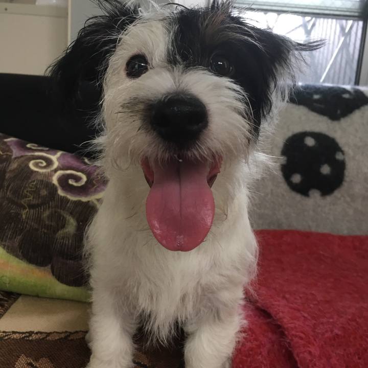 E15b33d3 7dfa 4fe3 9854 fd107cb8bf85