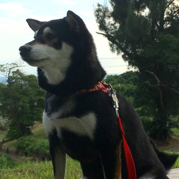 E15be6c4 dffe 4606 a741 34650ab7e4b4