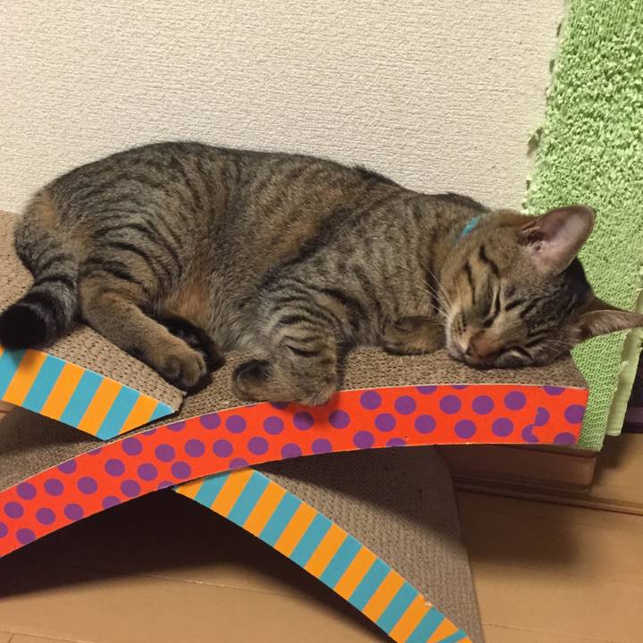 E15c597d ceec 4c99 a39f 61fcbae5b59c